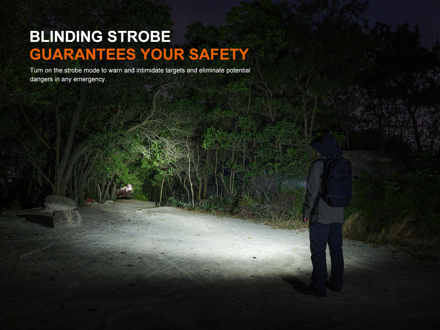 Φακός Fenix LD36R Επαναφορτιζόμενος με USB Φακός Fenix LD36R Επαναφορτιζόμενος με USB